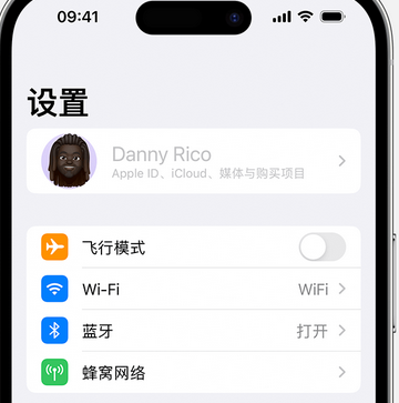 谢家集appleID维修服务iPhone设置中Apple ID显示为灰色无法使用 