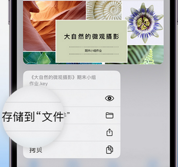 谢家集apple维修中心分享iPhone文件应用中存储和找到下载文件