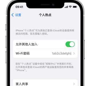 谢家集apple服务站点分享iPhone上个人热点丢失了怎么办 