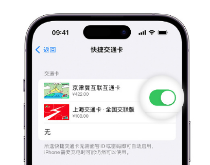 谢家集apple维修点分享iPhone上更换Apple Pay快捷交通卡手绘卡面 