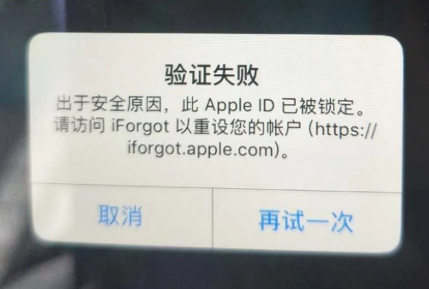 谢家集iPhone维修分享iPhone上正常登录或使用AppleID怎么办 