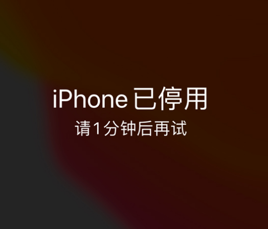 谢家集苹果手机维修分享:iPhone 显示“不可用”或“已停用”怎么办？还能保留数据吗？ 