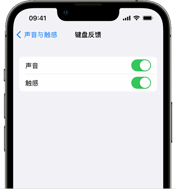 谢家集苹果14维修店分享如何在 iPhone 14 机型中使用触感键盘 