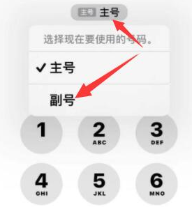 谢家集苹果14维修店分享iPhone 14 Pro Max使用副卡打电话的方法 