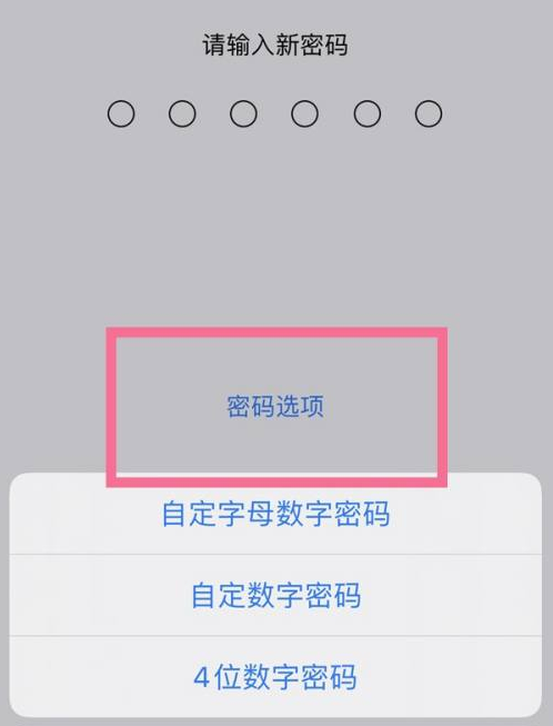 谢家集苹果14维修分享iPhone 14plus设置密码的方法 