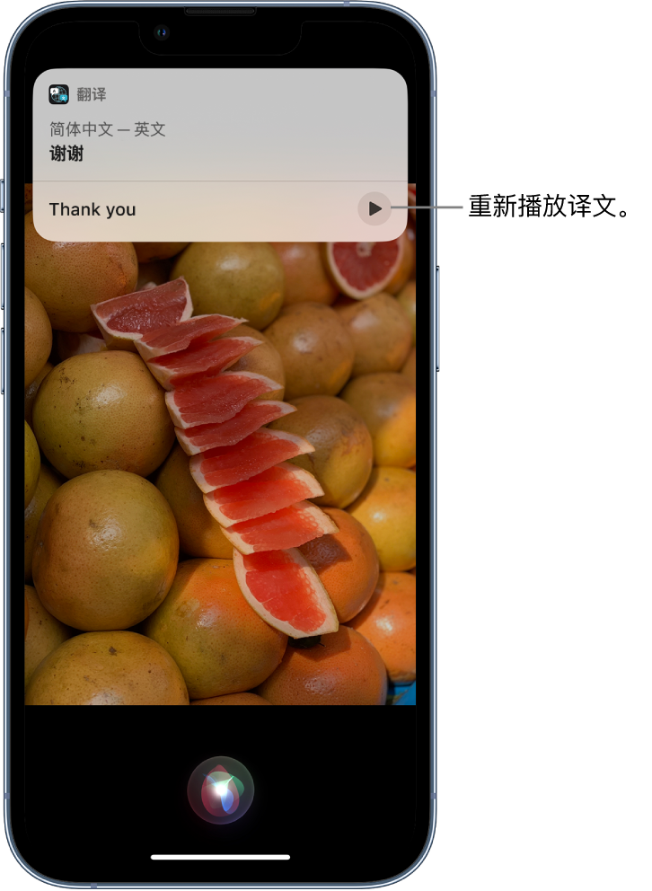 谢家集苹果14维修分享 iPhone 14 机型中使用 Siri：了解 Siri 能帮你做什么 