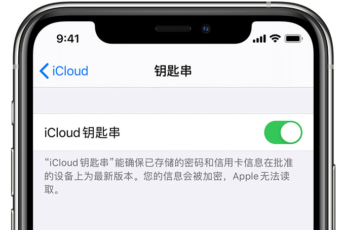 谢家集苹果手机维修分享在 iPhone 上开启 iCloud 钥匙串之后会储存哪些信息 