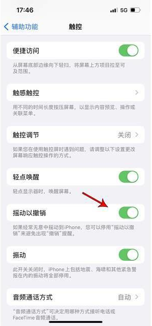 谢家集苹果手机维修分享iPhone手机如何设置摇一摇删除文字 