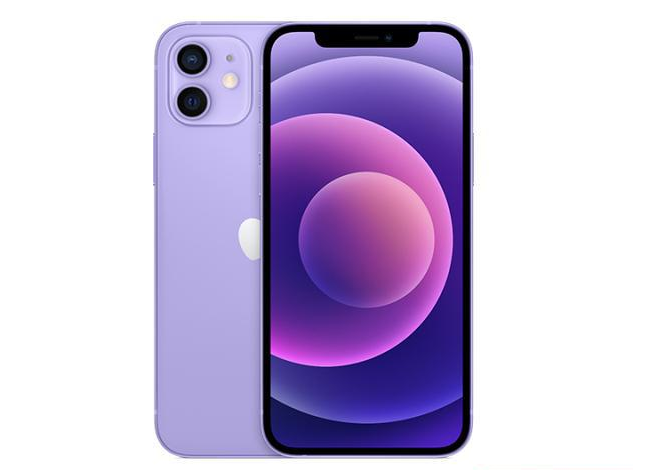 谢家集苹果手机维修分享现阶段要不要入手紫色版iPhone12 